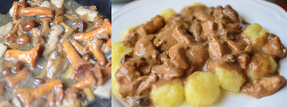 Chicken with mushroom sauce