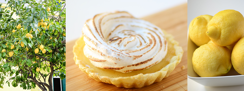 Lemon Meringue Pie